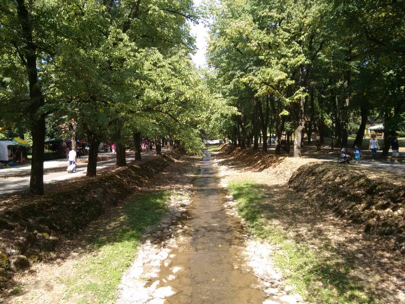 Slika