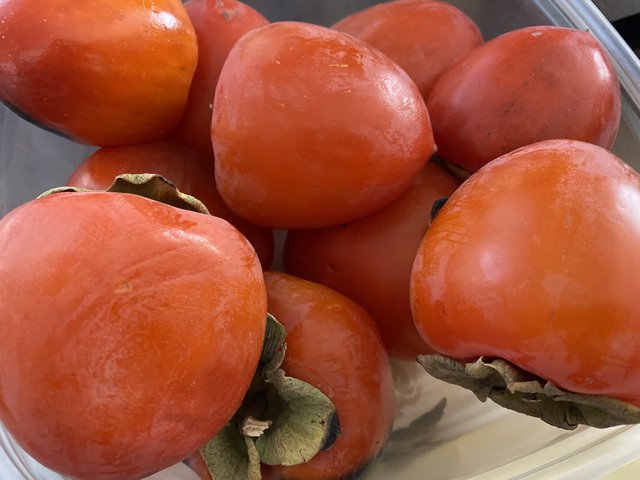 [Image: A23-DFAA2-0-B9-B-4-B2-A-B3-FF-A3586620-E5-BA.jpg]