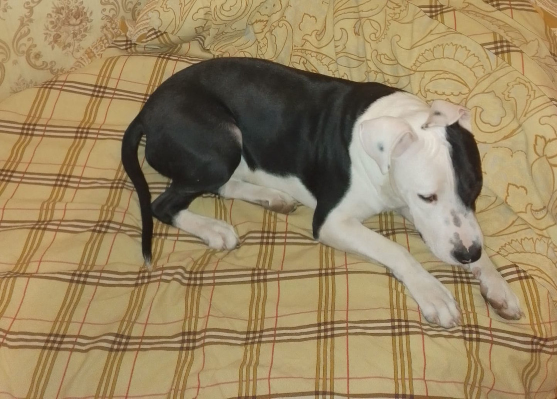 E607F58B-4200-4819-90B1-9282E2D4A24E