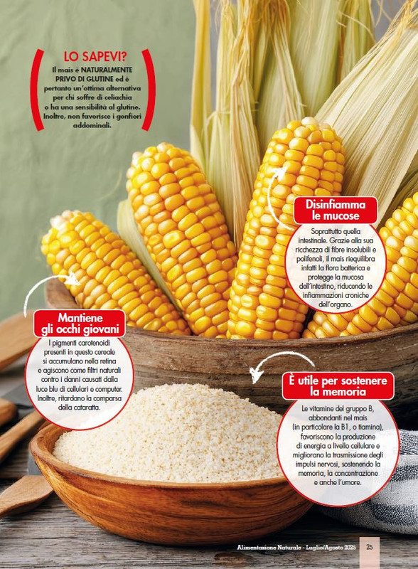 Alim Nat Lug-Ago 2025 (12)