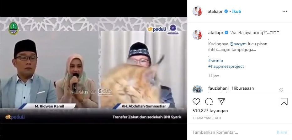 Kucing Aa Gym narsis saat bincang santai dengan Kang Emil dan Atalia