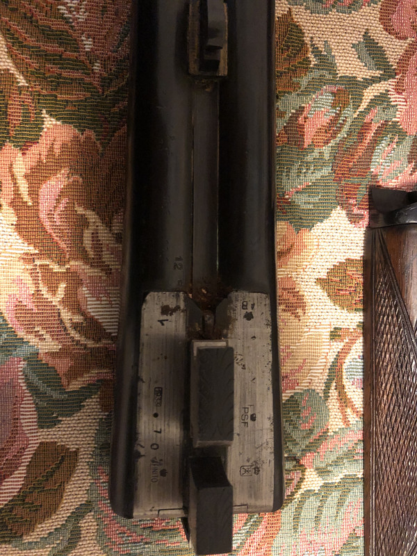 82FC82B2-3388-4B3E-BEE3-1AFEFDD6D96C