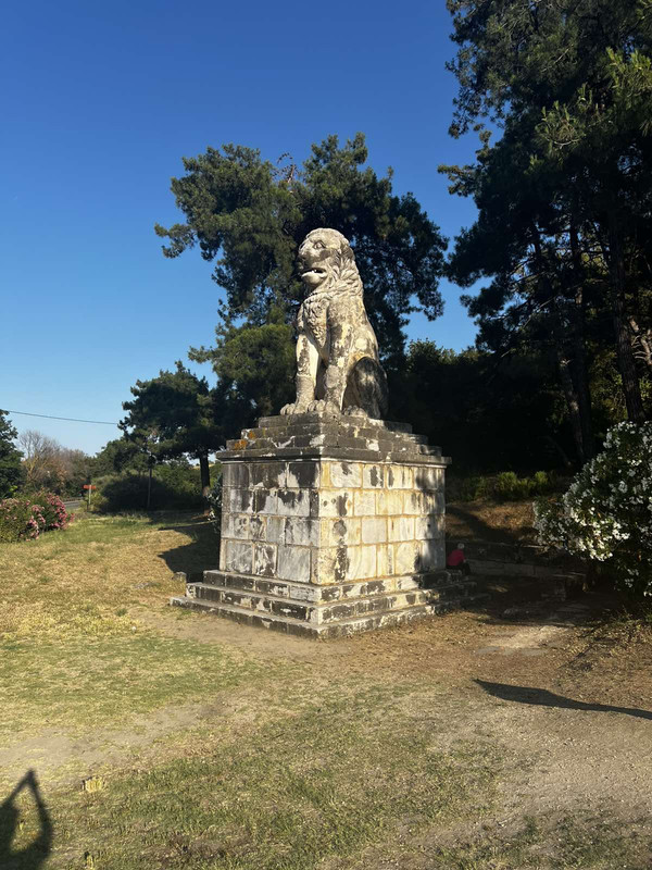 εικόνα_Viber_2025-06-25_13-43-46-602