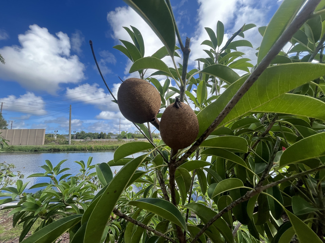 262F4054-8B29-4BB3-ACA7-A5700ED4DF13