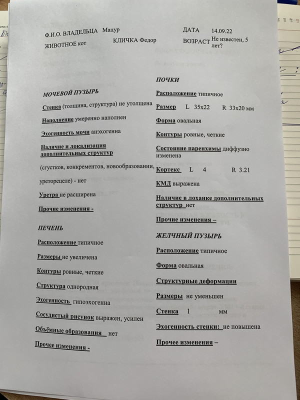 28CA872A-FD53-47A7-B859-1848D5048B28