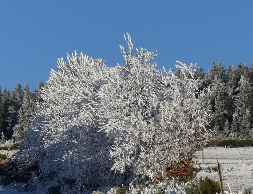 P1080843.jpg