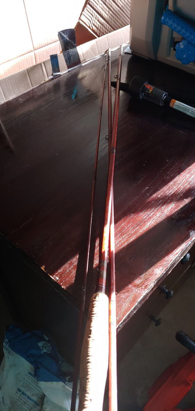 98851692_1148215252182126_8759615753293922304_n