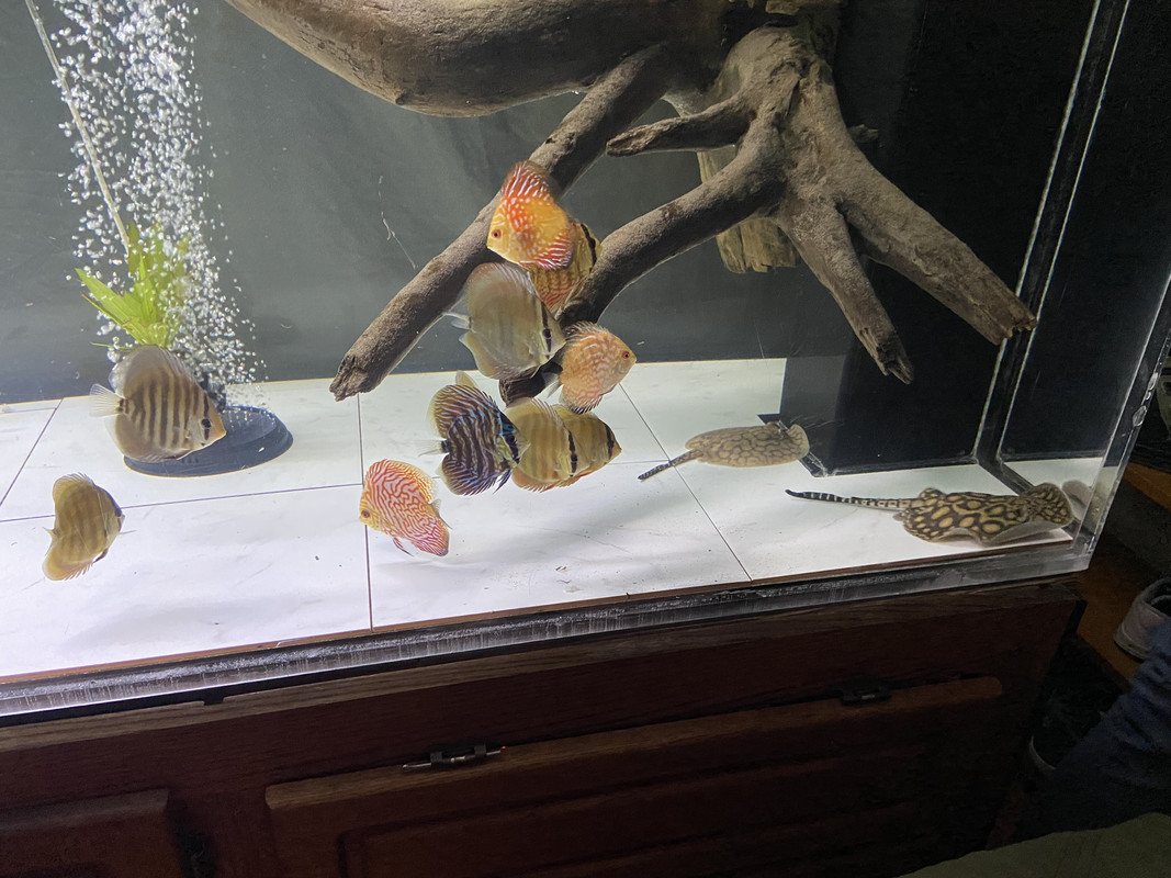 E7A2EDE2-27F0-4DD9-A9F0-BBB64AE033A2