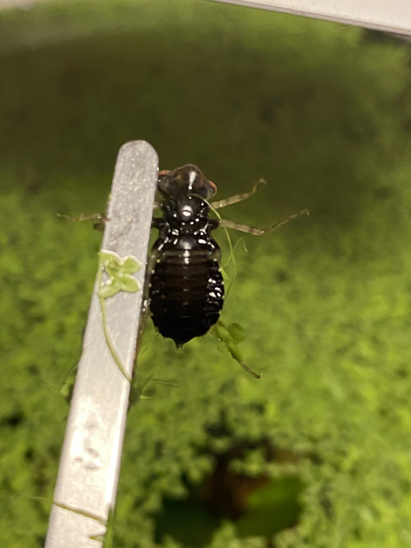 CE161D3C-37D3-4B86-AB6A-4AB56B1FD5DD