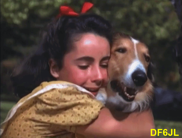 Liz-Lassie-02a
