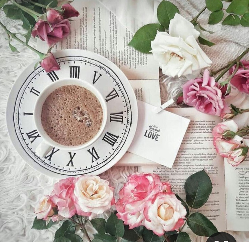 Screenshot_20230305_010712_Pinterest