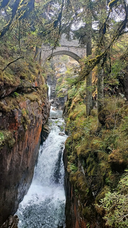 IMG20250822153354 (Large)