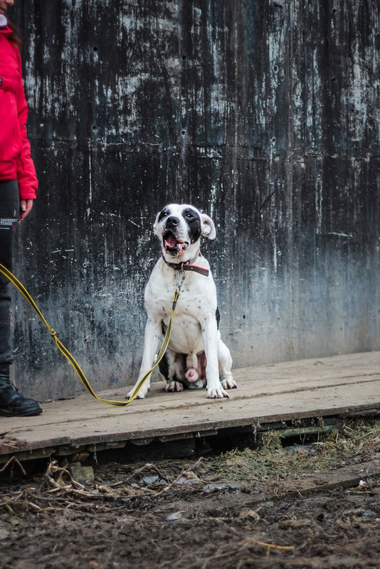 без имени-0251