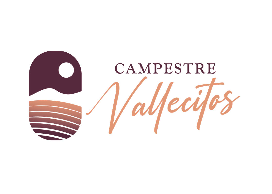 Logo Vallesitos