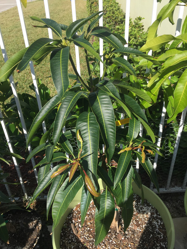 09528808-89B5-45C9-B33D-D815A240B8C1