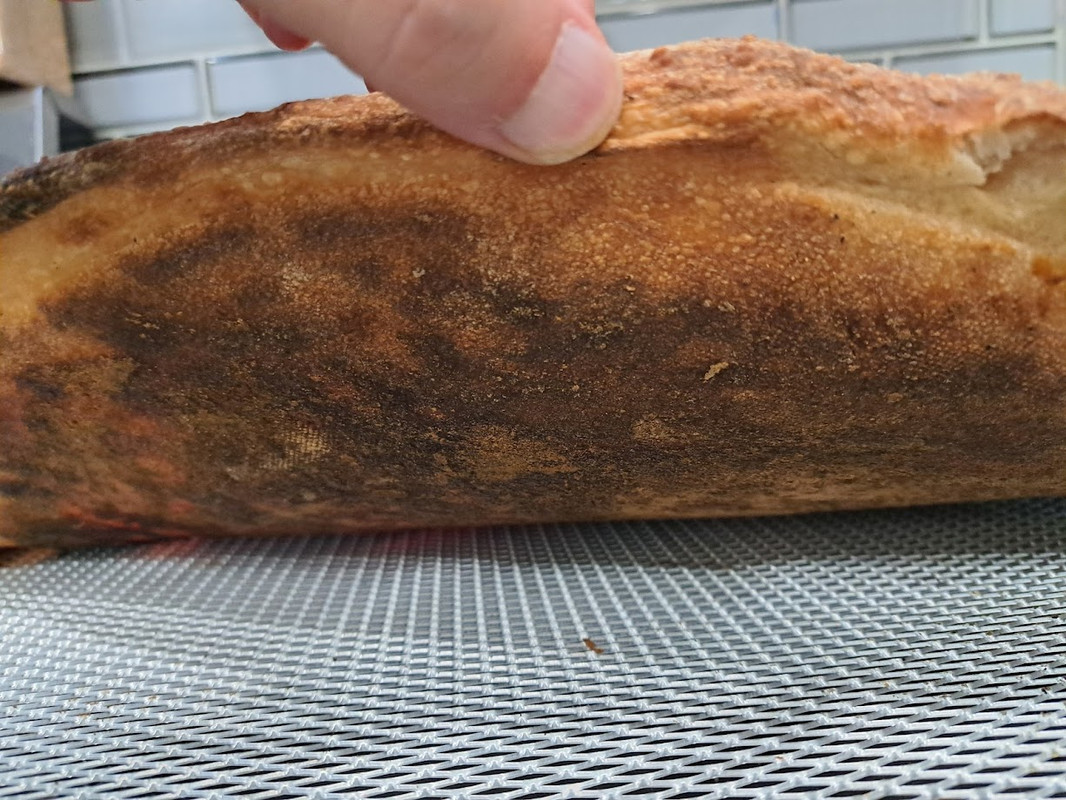 20250811-202239.jpg