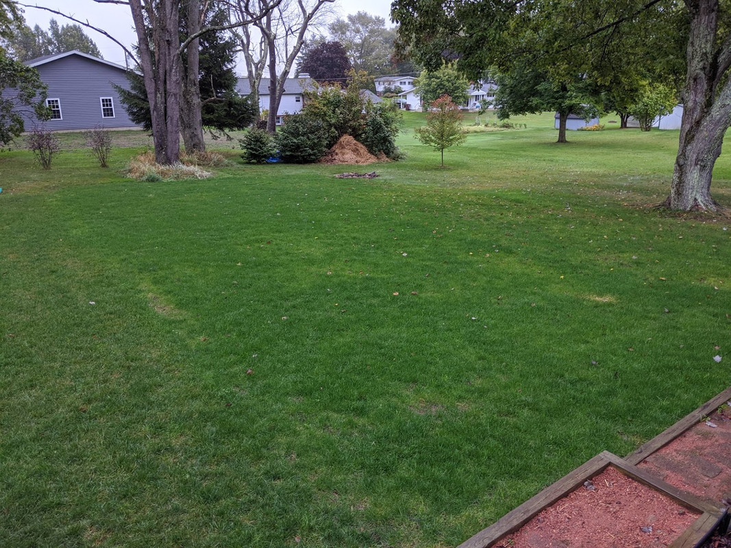 1C1B65A3-41F9-456D-B465-70E5AE62C518