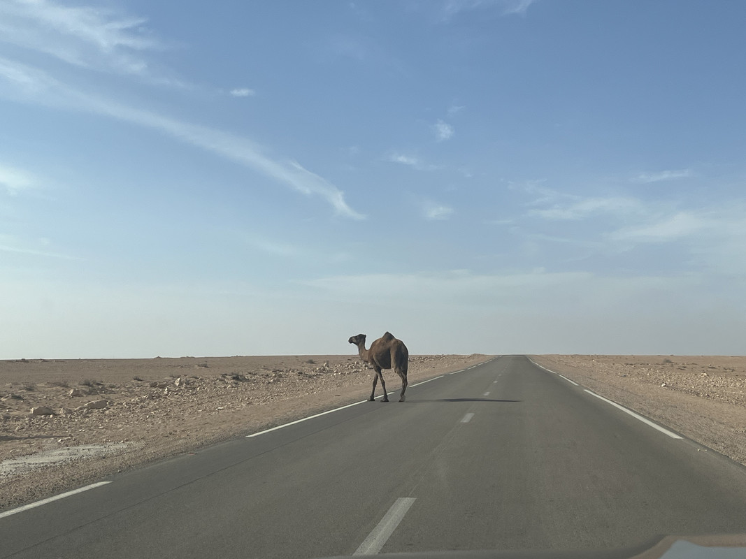 Villa Cisneros (Dakhla) y la Peninsula de Rio de Oro - El Sahara Occidental (17)