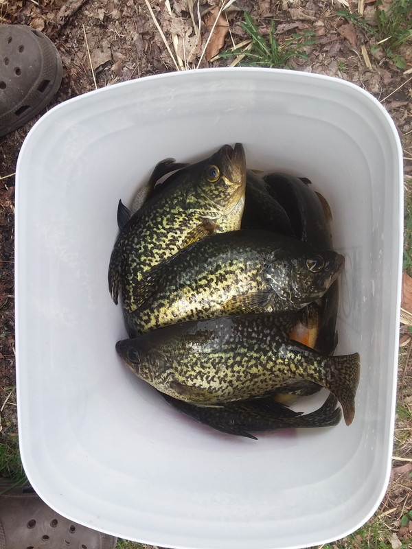20180503_114045
