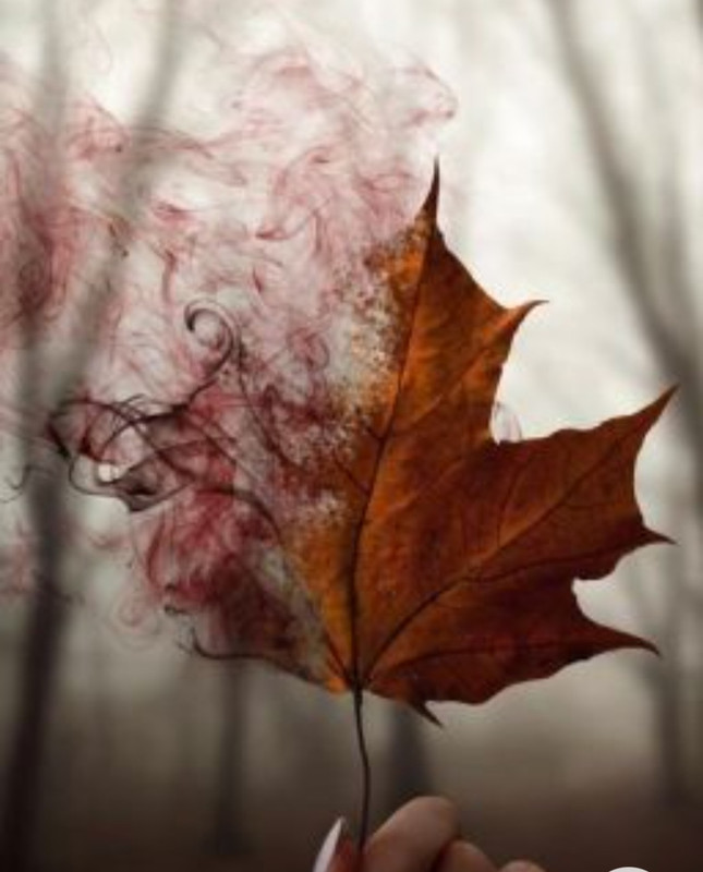 Screenshot_20221208-220520_Chrome