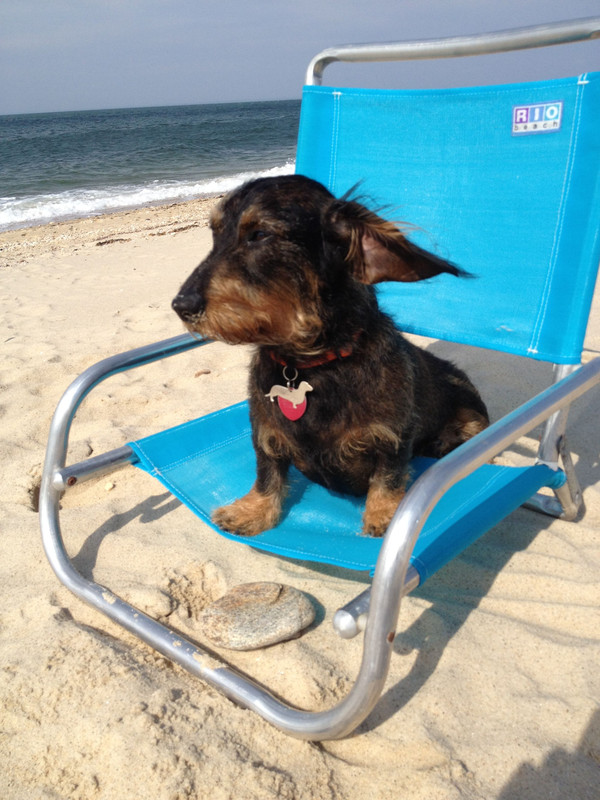 [Image: 7c718e7b1bc227d53f456dc21bfa0b5d.jpg]