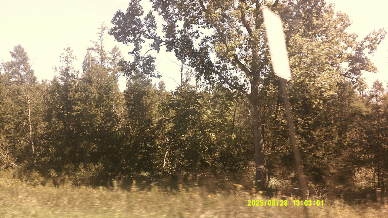 a green gradient