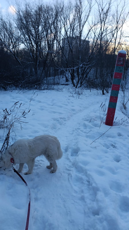 0440CC5A-5B7A-43D0-8085-5D45D6B5AAEA