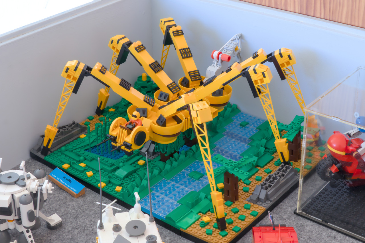 IMG 5071 customs Varios