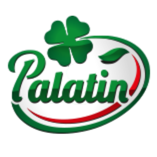 Logo 6