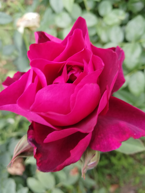 IMG_20200903_183644
