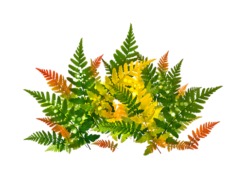 ISmellAutumn-LL-Element61