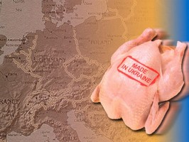 Украина вошла в тройку главных поставщиков курятины в ЕС