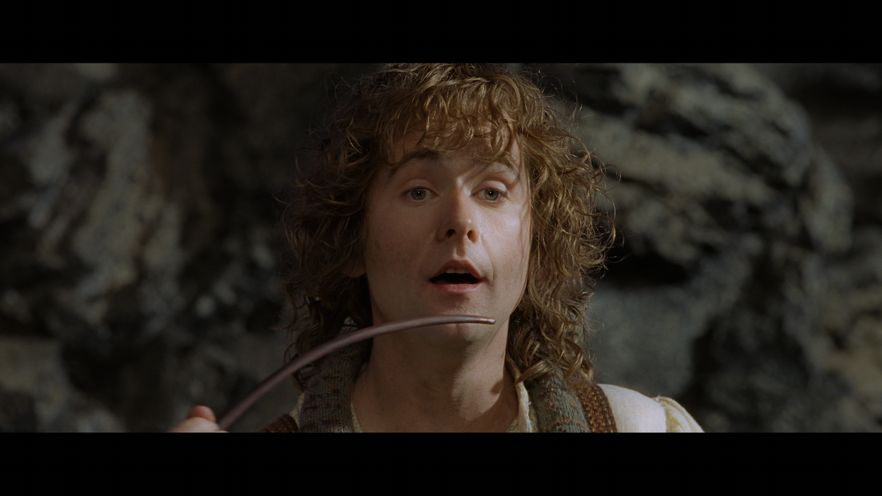The Lord of the Rings- The Return of the King (EXT.) PT. 1.mkv_snapshot_00.10.38_[2020.12.15_18.22.3