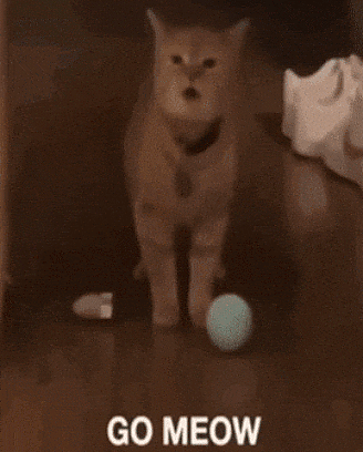 i-go-meow.gif