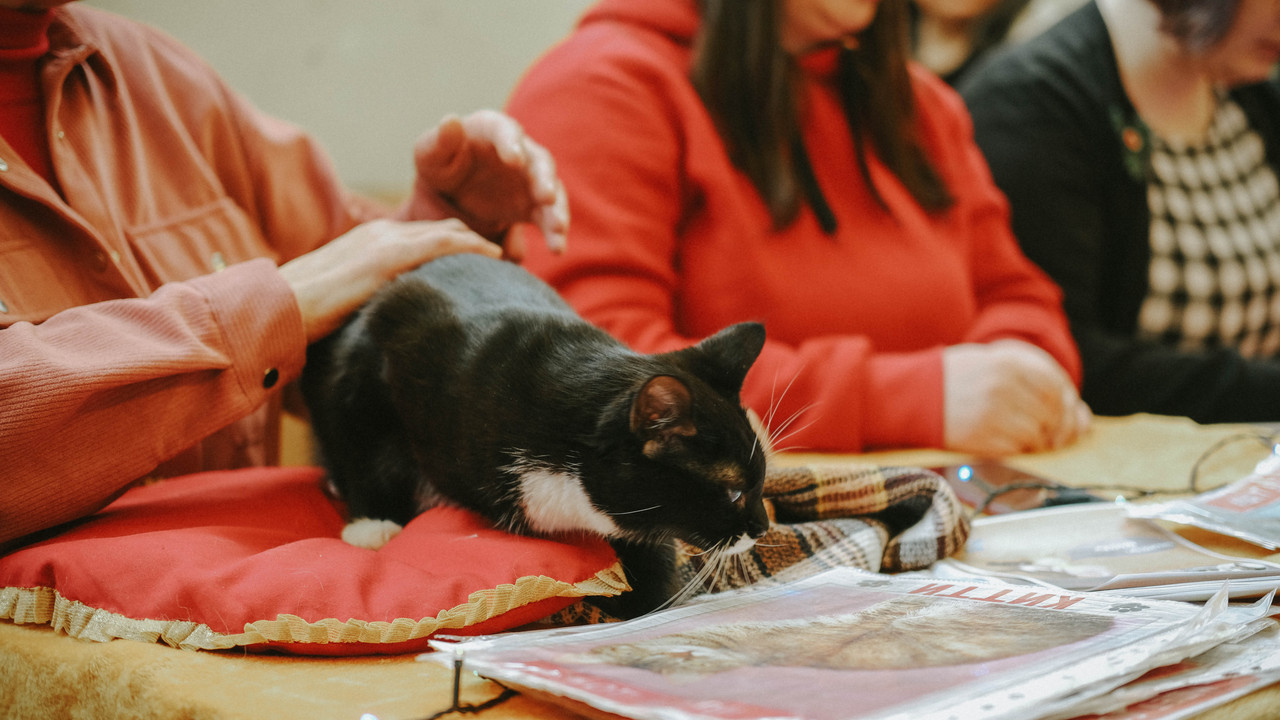 07B471C2-5DF2-4498-B176-4012FF98C50E