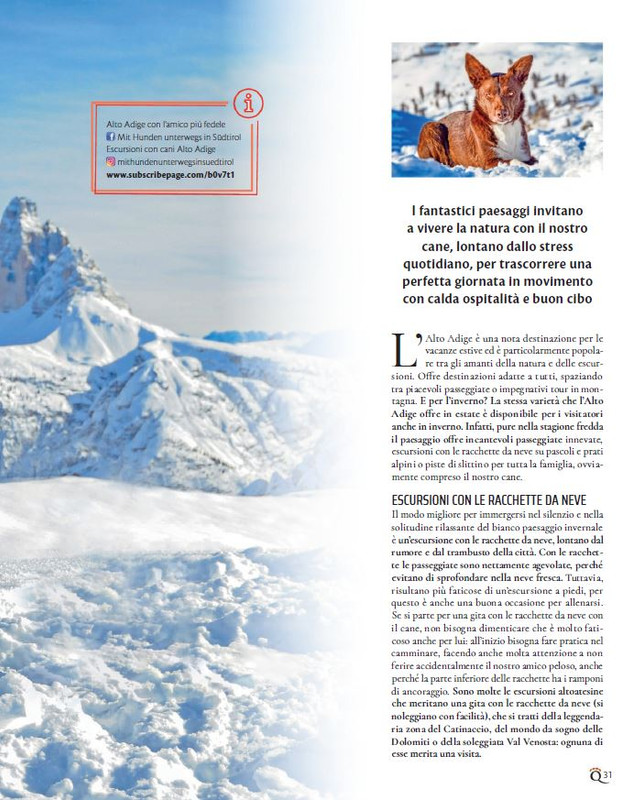 QuattroZampe Feb 2022 (4)