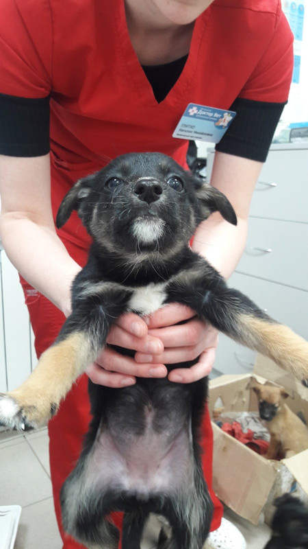 9BCD2F2A-F403-4ADC-ACDA-51919E2F9041