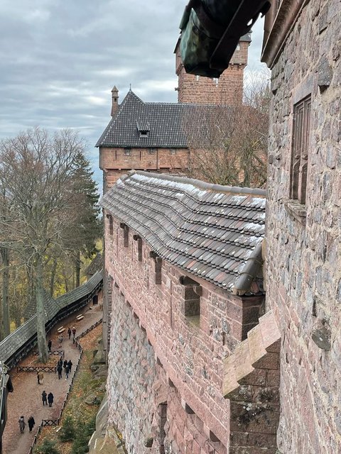 Puente de la Inmaculada 2022 en Alsacia - Blogs de Francia - ALSACIA EN NAVIDAD VISITANDO EL CASTILLO DE ALSACIA, COLMAR Y ESTRASBURGO. (4)
