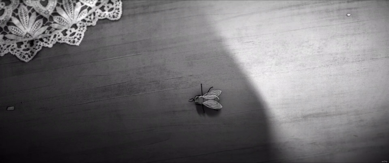 300mbunited.me--00002