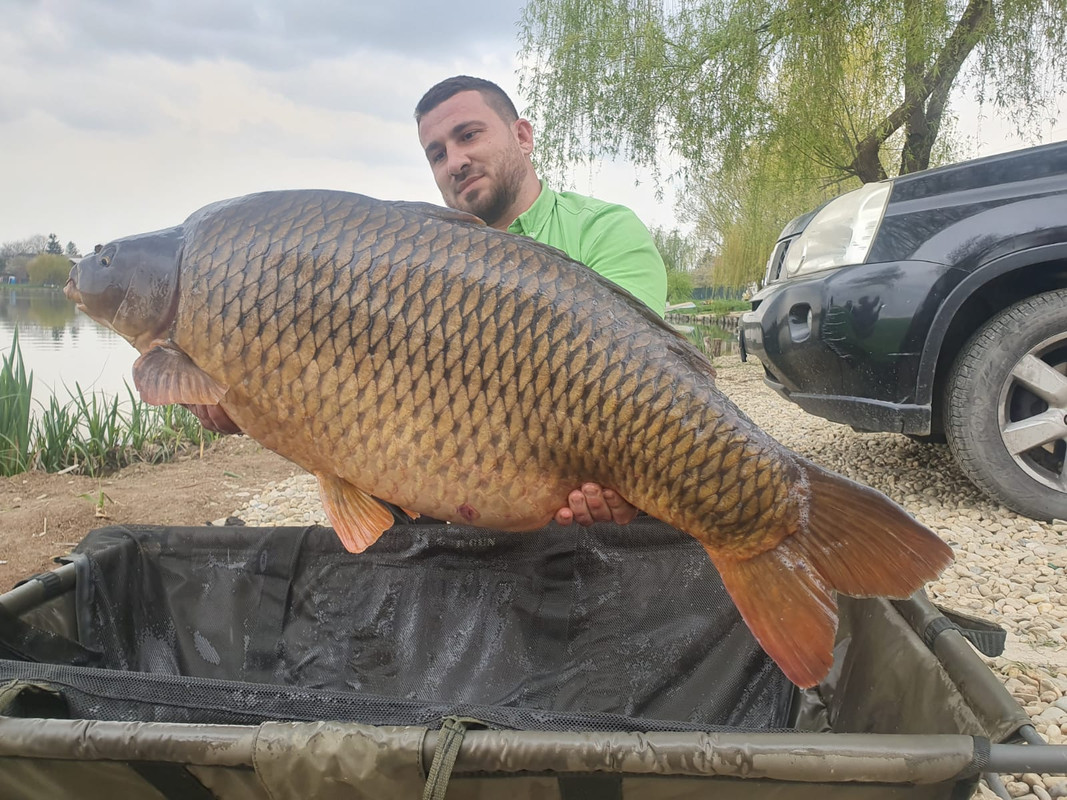 WhatsApp Image 2021-04-19 at 18.28.03 (12)