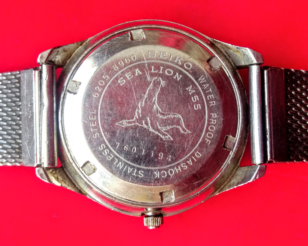 IMG_20200206_111253756~2