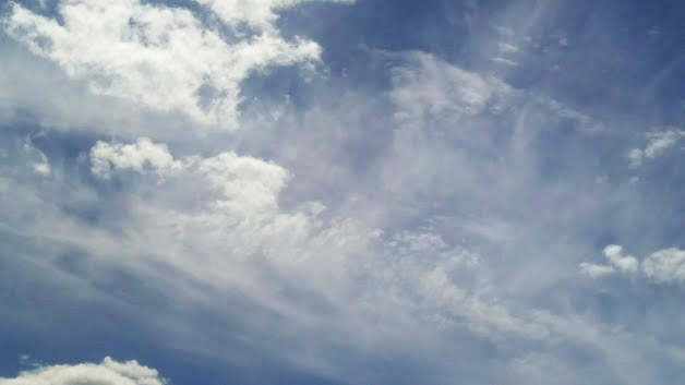 IMG-2019-05-23-121600.jpg