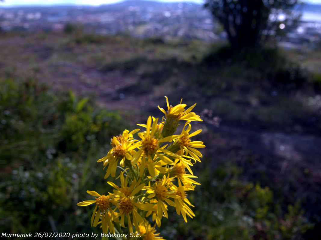 Мурманск, виды, Семёновское озеро Мурманск, виды, Семёновское озеро