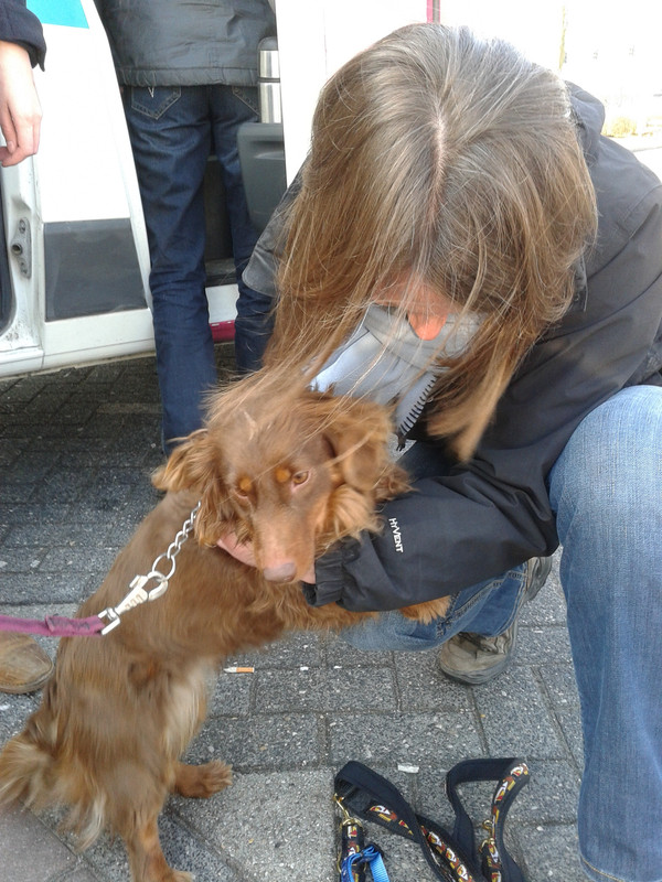 Afbeelding