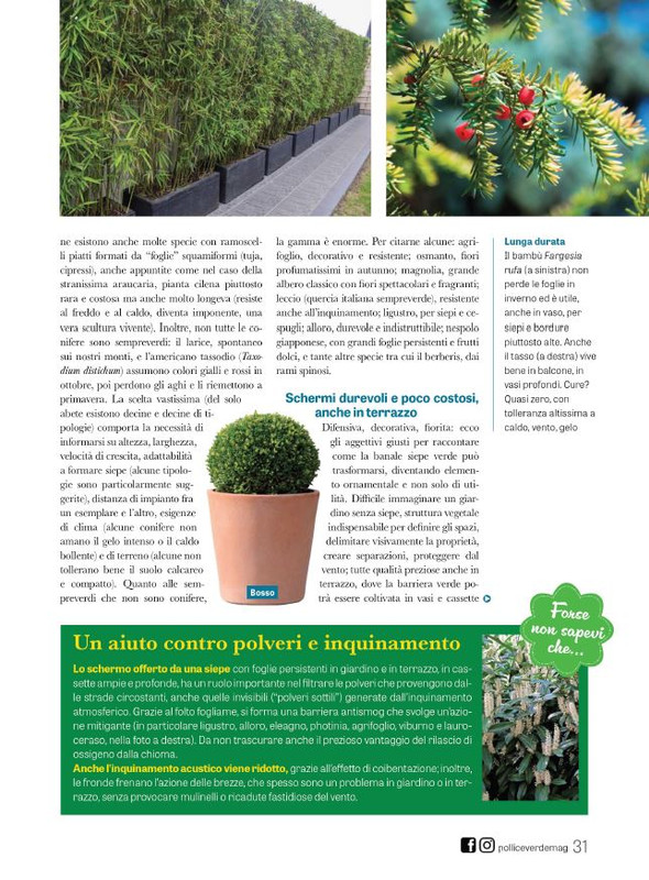 Pol Ver Set 2023 (8)