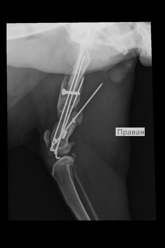 D85144CD-D191-490B-A19F-01977445A7B8