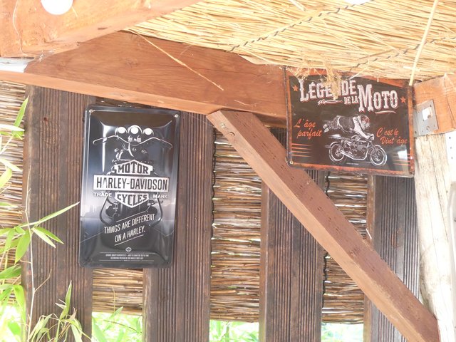 16 aout Marsillargues Carbu et Vachette (24)