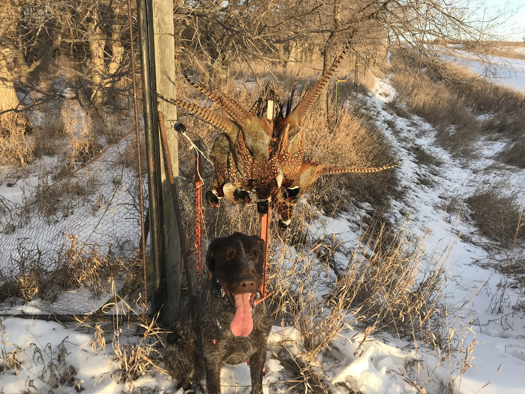 CD821084-BC54-40E8-96A0-D90BB5BED990