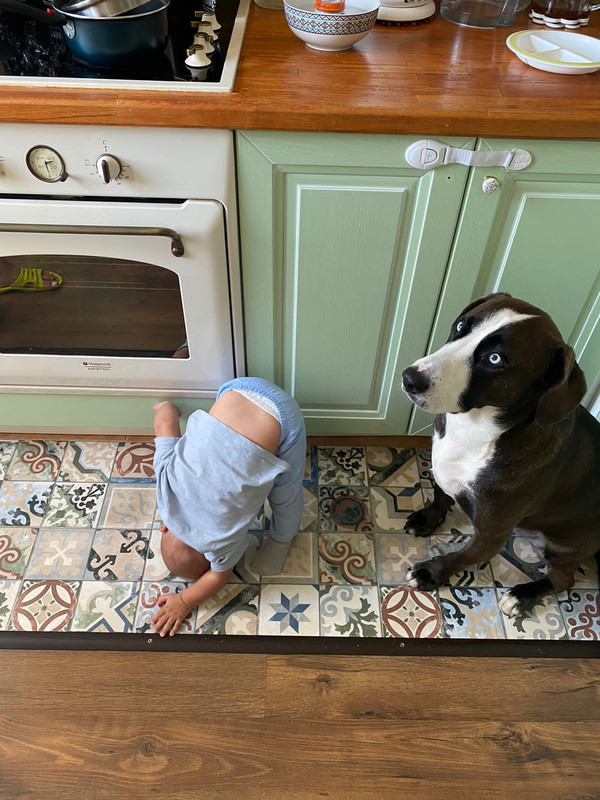 A584C06A-8AB7-45BB-8CB4-AEFAB9FEB5E6