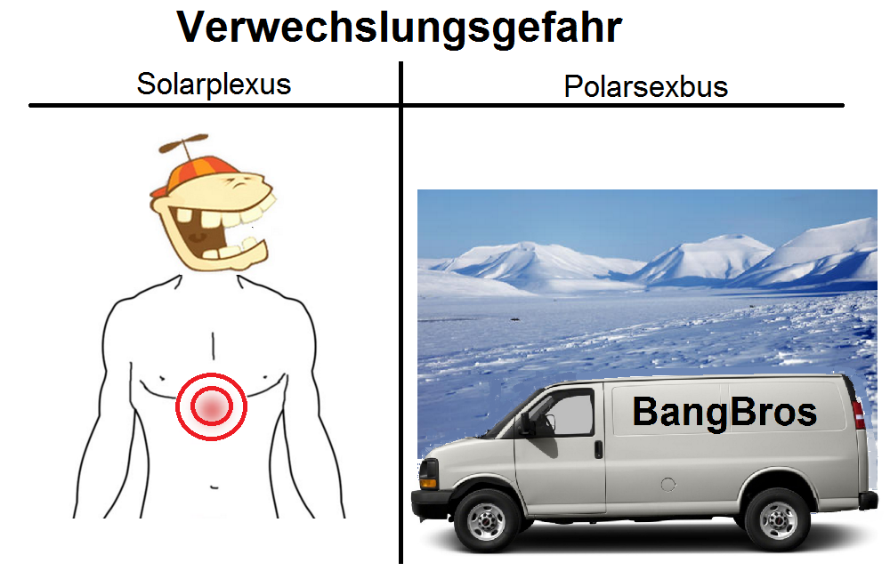 vwg4-solarplexus-polarsexbus.png